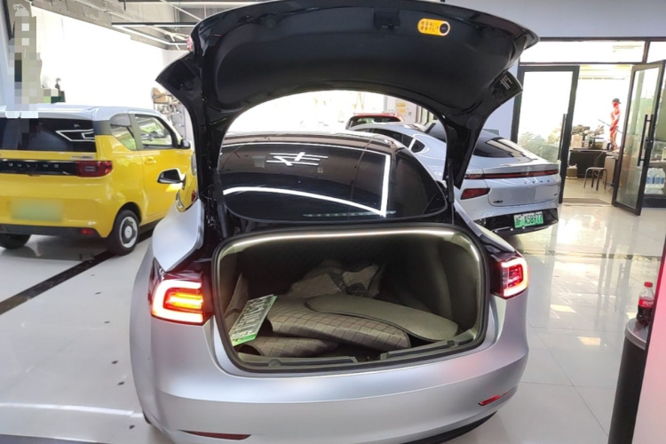 Tesla Model 3 2023 car image #19