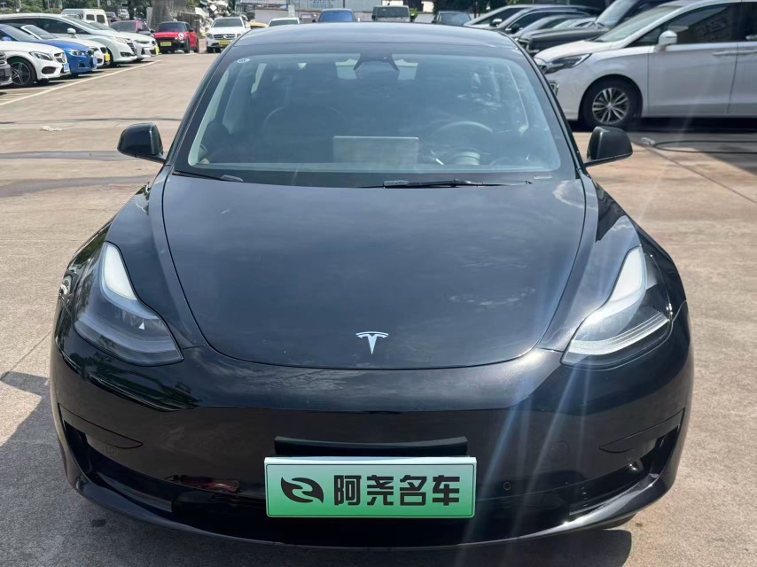 Tesla Model 3 2021 immagine di auto #2