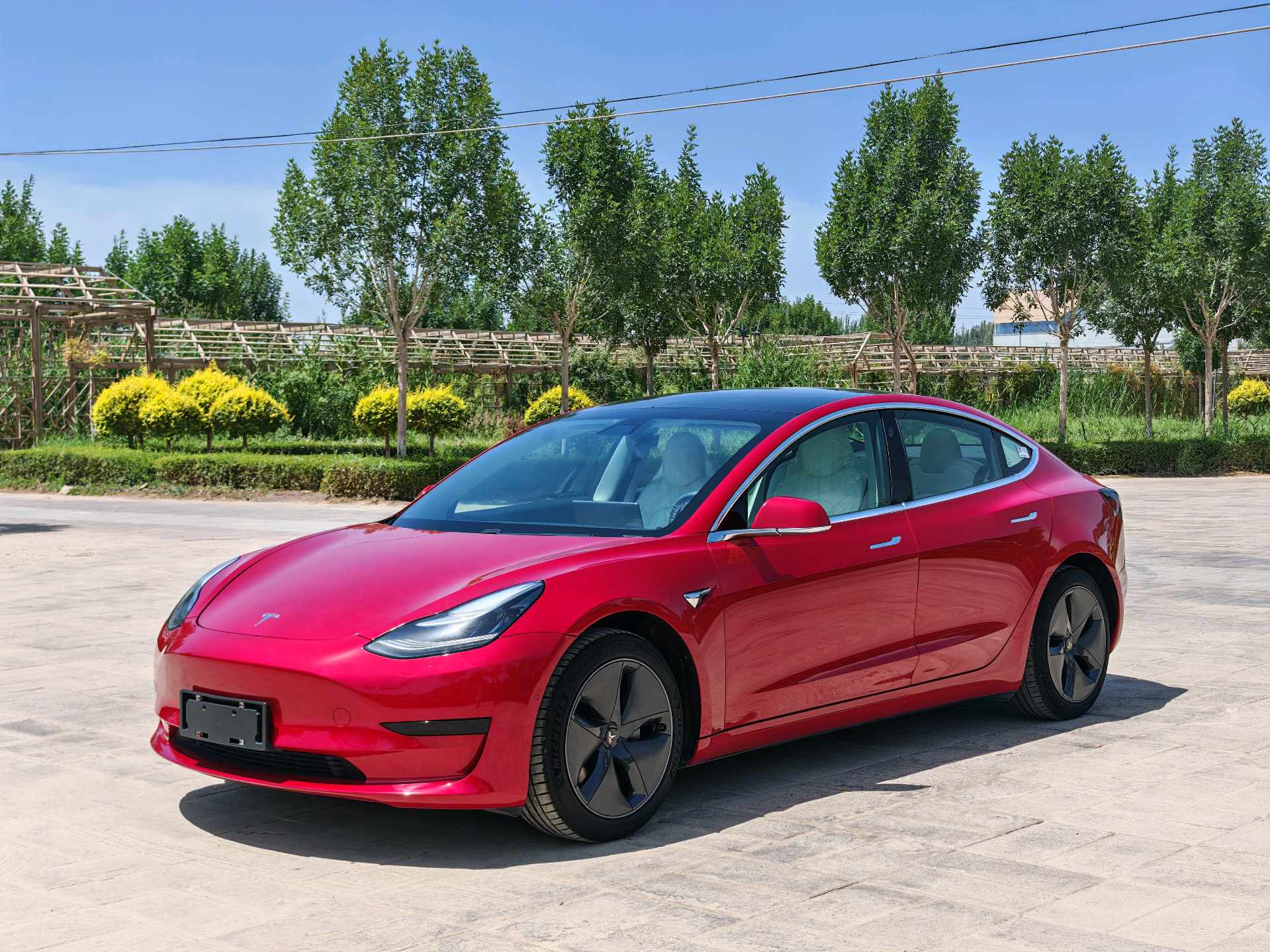 Tesla Model 3 2020 Tesla Model 3 2020 car image