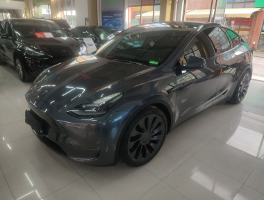 Tesla Model Y 2022 car image 