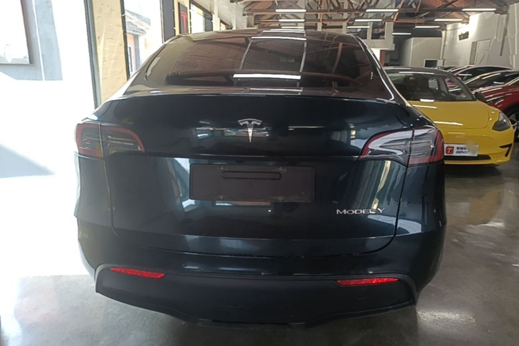 Tesla Model Y 2023 #6 Tesla Model Y 2023 car image #6