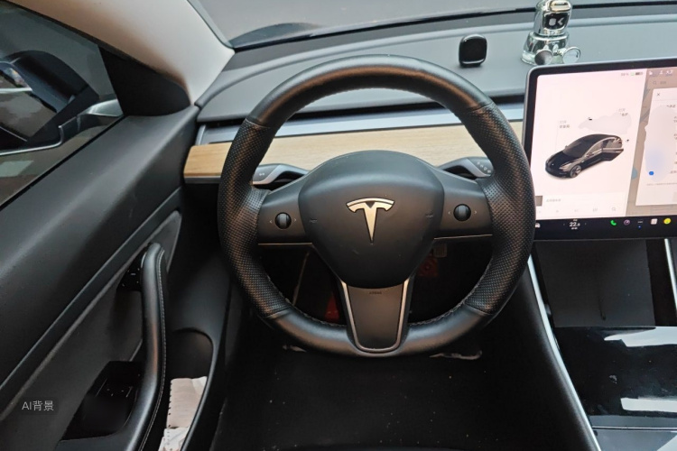 Tesla Model 3 2020 car image #12