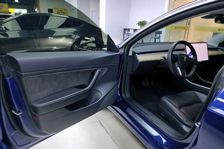 Tesla Model 3 2020 car image #16