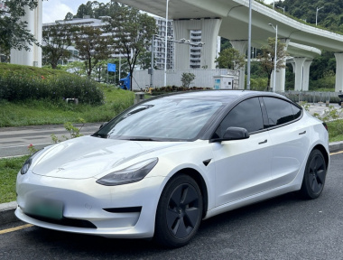 Tesla Model 3 2022 Tesla Model 3 2022 car image
