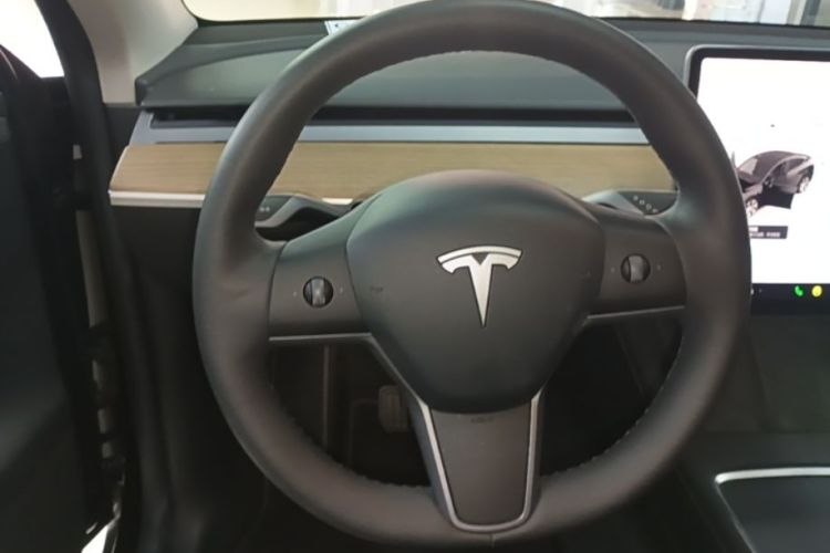 Tesla Model Y 2022 car image #15