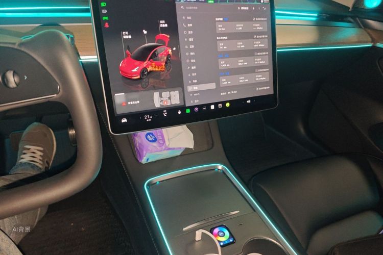 Tesla Model 3 2022 car image #15