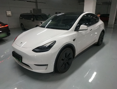 Tesla Model Y 2024 car image 