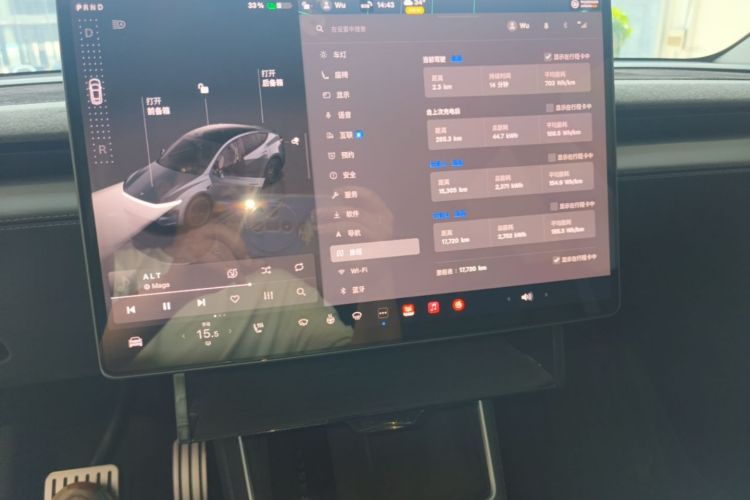 Tesla Model Y 2025 car image #13