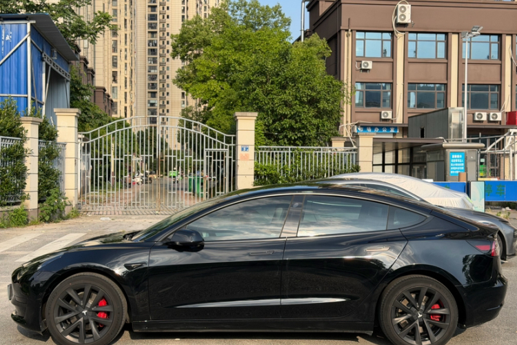Tesla Model 3 2023 #5 Tesla Model 3 2023 car image #5
