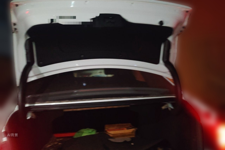 GEELY Emgrand GL 2018 car image #21