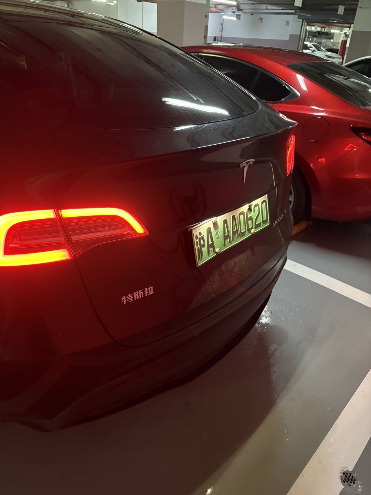 Tesla Model Y 2021 #9 Tesla Model Y 2021 car image #9
