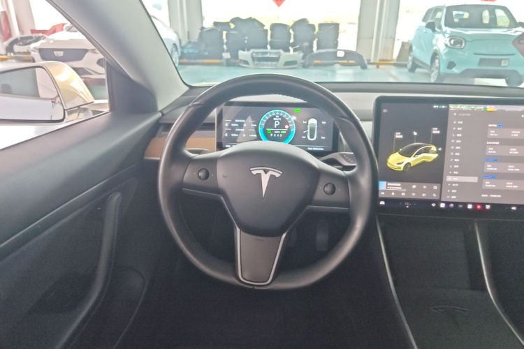 Tesla Model 3 2020 car image #11