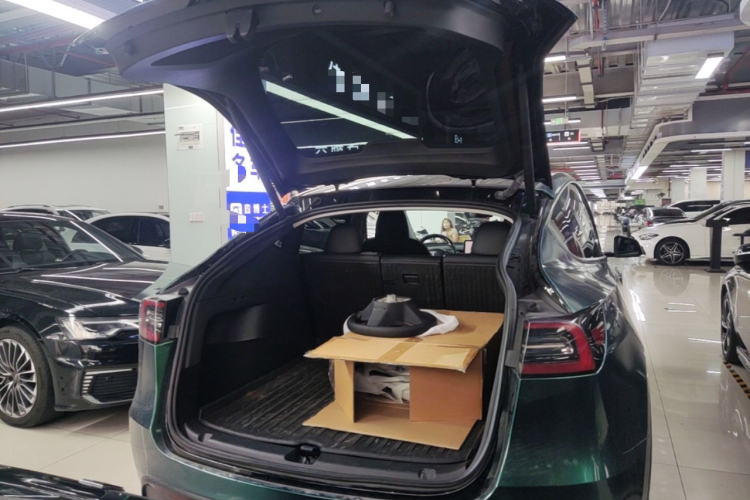 Tesla Model Y 2022 car image #19