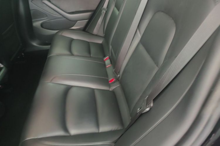 Tesla Model 3 2020 car image #17