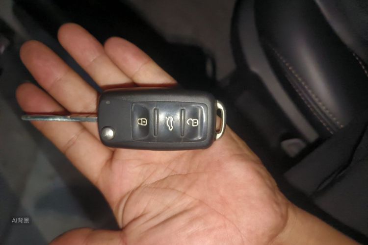 Volkswagen Bora 2016 immagine di auto #10