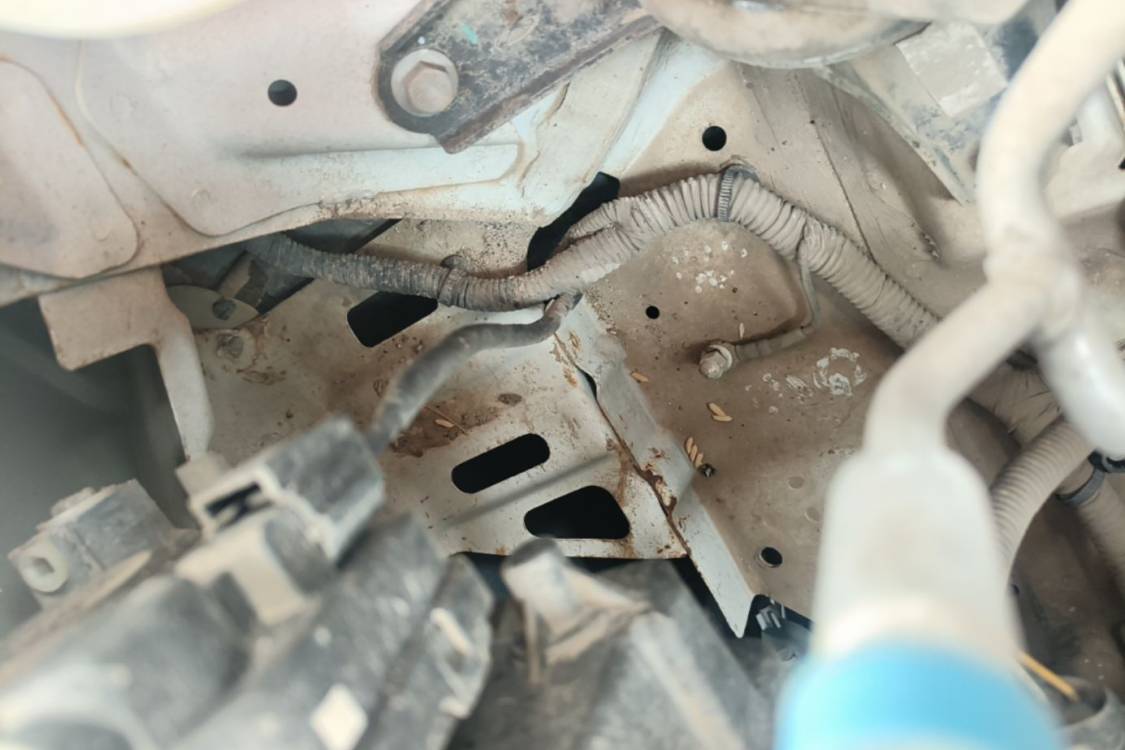 Chery Tiggo 3x 2020 #29 Chery Tiggo 3x 2020 imagen de coche #29