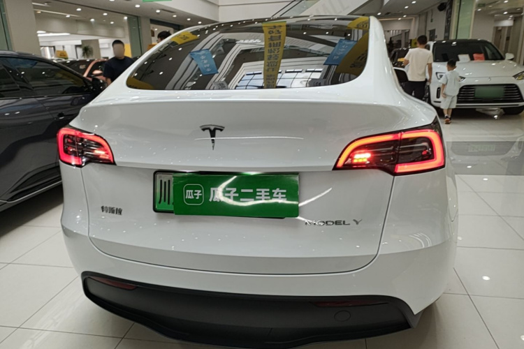 Tesla Model Y 2024 immagine di auto #6