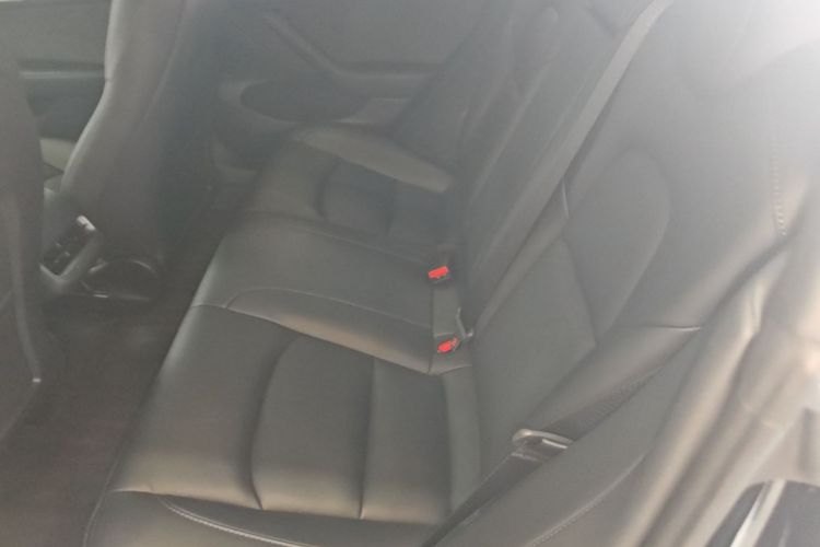 Tesla Model 3 2023 car image #13