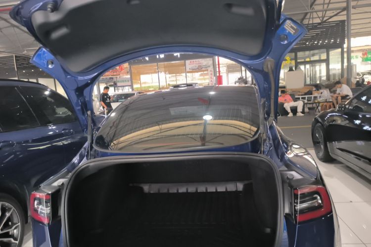 Tesla Model 3 2020 #19 Tesla Model 3 2020 car image #19