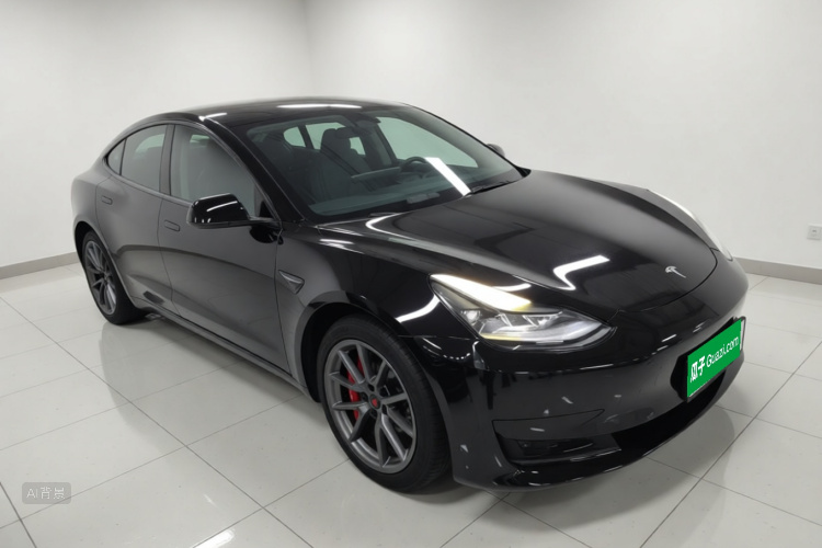 Tesla Model 3 2023 car image #4