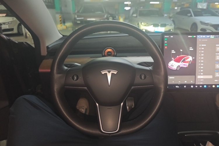 Tesla Model 3 2021 car image #11