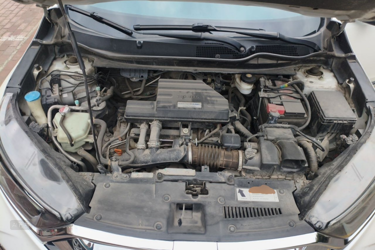 Honda CR-V 2019 car image #22
