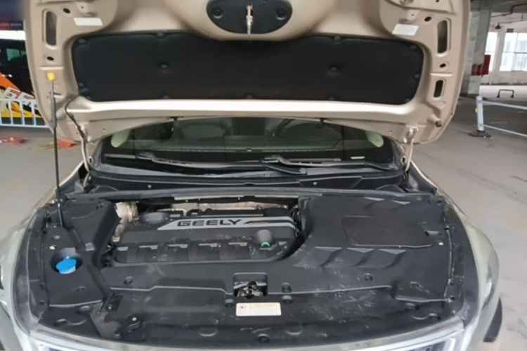 GEELY Emgrand GS 2016 car image #20