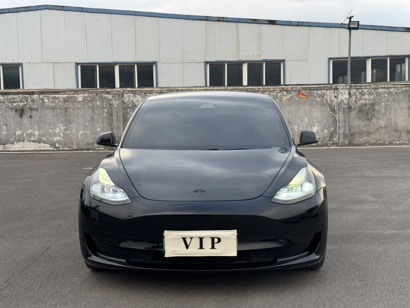 Tesla Model 3 2021 #2 Tesla Model 3 2021 car image #2
