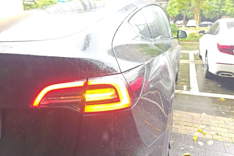 Tesla Model Y 2021 #8 Tesla Model Y 2021 car image #8