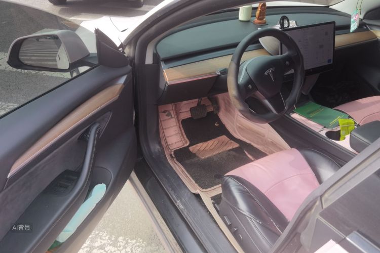 Tesla Model 3 2021 car image #18