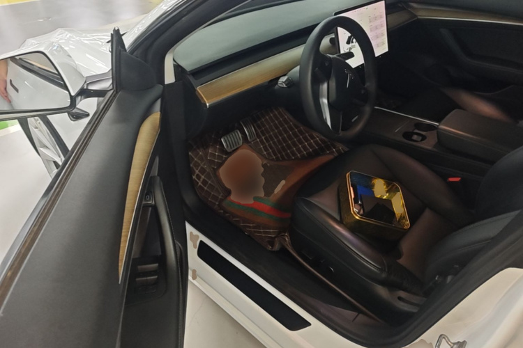 Tesla Model 3 2021 #16 Tesla Model 3 2021 car image #16