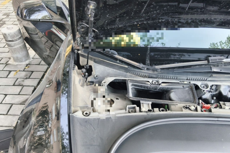 Tesla Model 3 2023 #23 Tesla Model 3 2023 car image #23