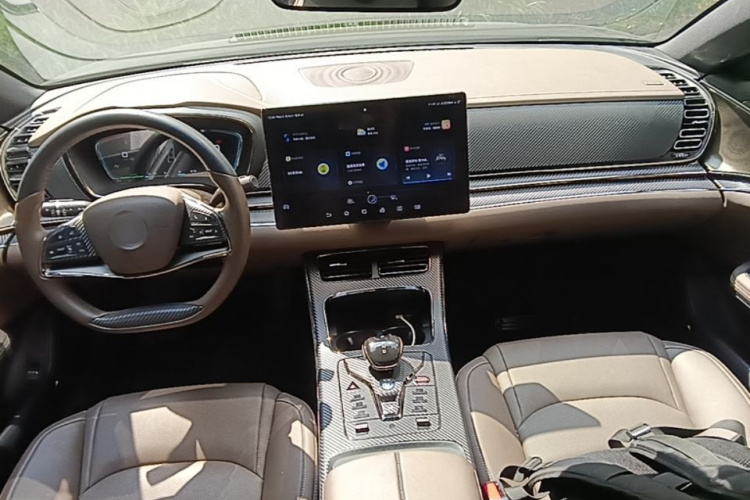 BYD Han 2020 #10 BYD Han 2020 immagine di auto #10