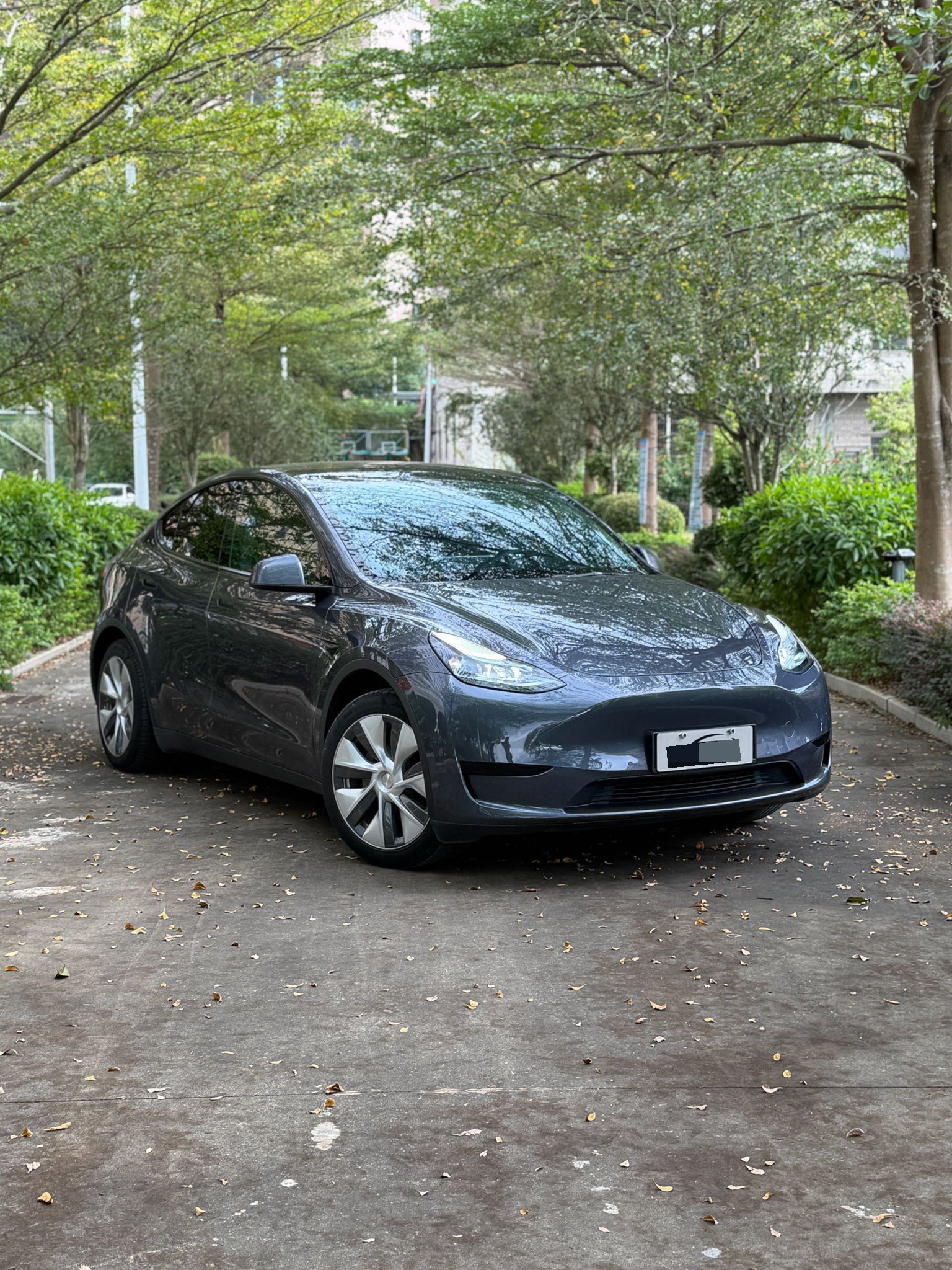 Tesla Model Y 2022 car image #5