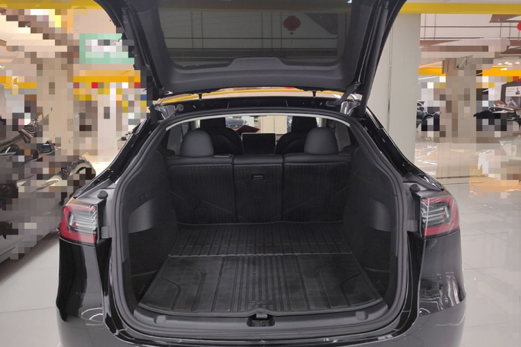 Tesla Model Y 2023 car image #19