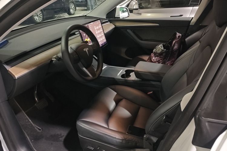 Tesla Model Y 2021 #15 Tesla Model Y 2021 car image #15