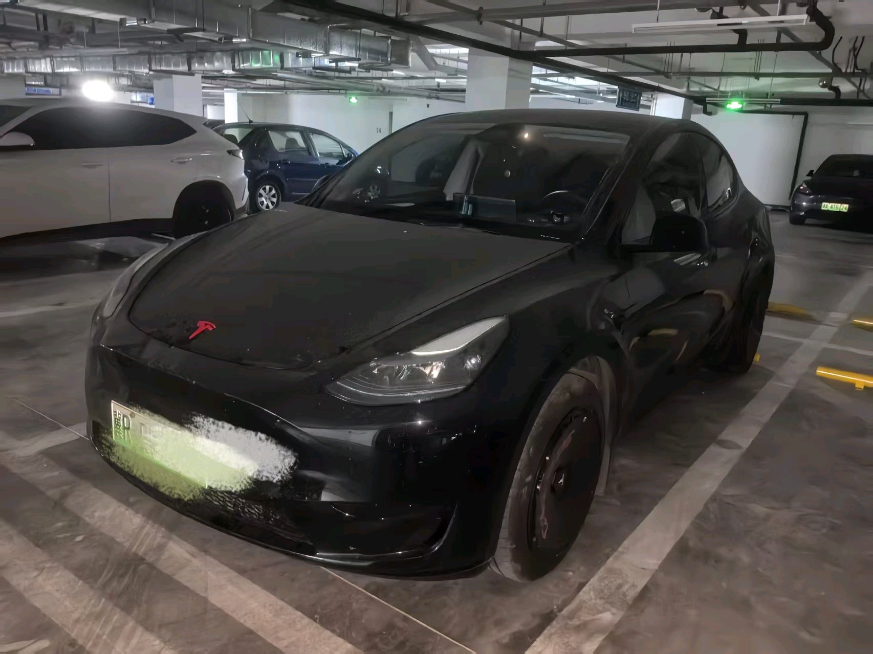 Tesla Model Y 2024 car image 