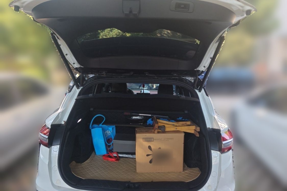 GEELY Coolray 2020 car image #8