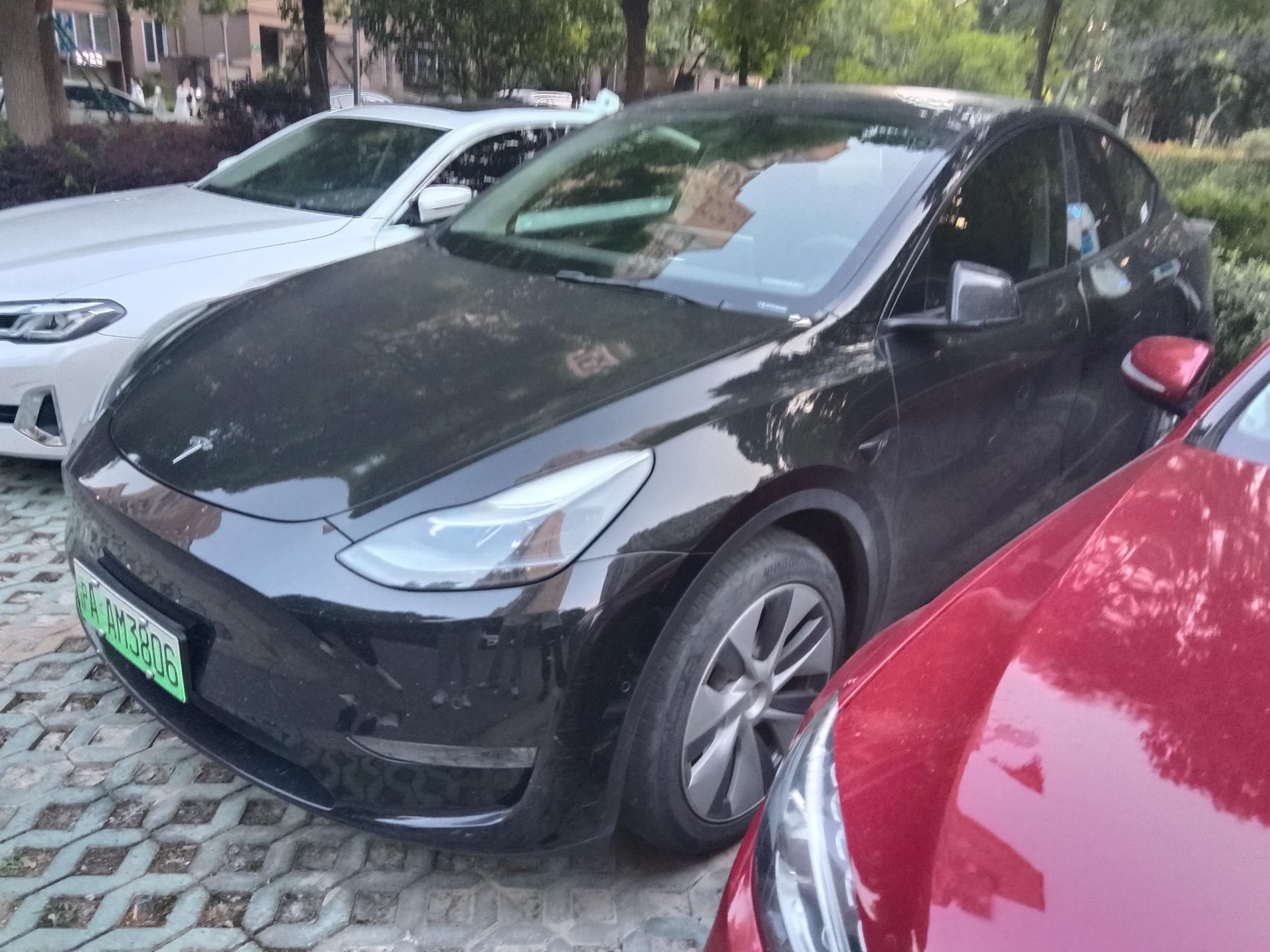 Tesla Model Y 2022 Tesla Model Y 2022 immagine di auto