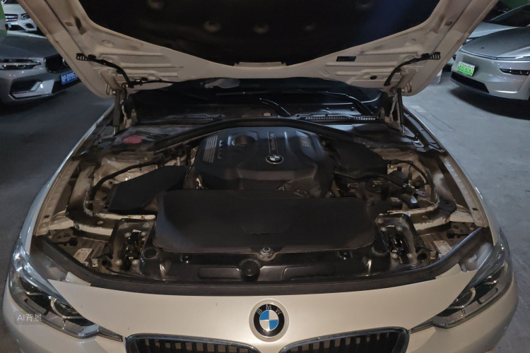 BMW 3 Series 2017 car image #22