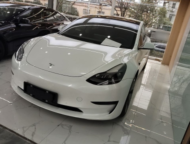 Tesla Model 3 2021 Tesla Model 3 2021 imagem de carro
