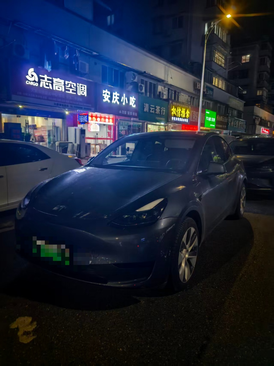 Tesla Model Y 2022 Tesla Model Y 2022 car image