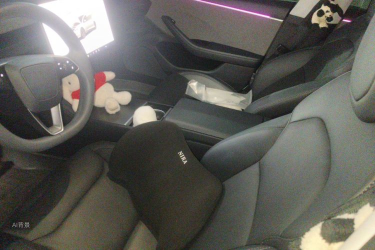 Tesla Model 3 2023 car image #17