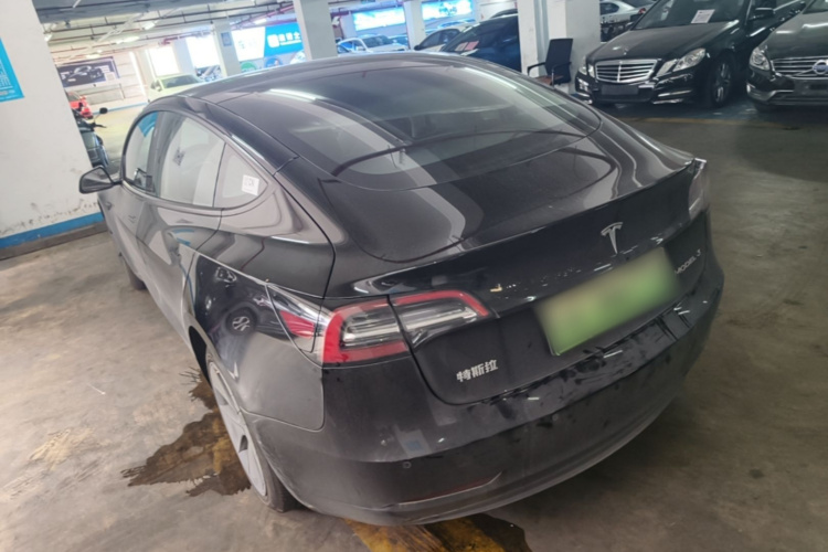 Tesla Model 3 2021 #5 Tesla Model 3 2021 car image #5