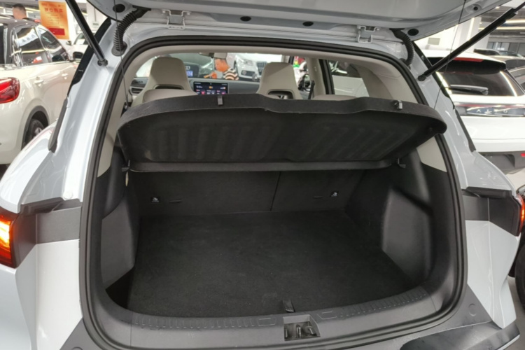 BYD YuanUP 2024 #19 BYD YuanUP 2024 car image #19