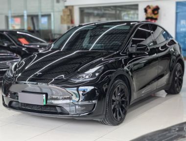 Tesla Model Y 2023 car image 