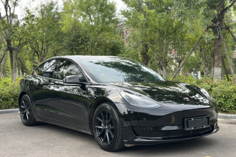 Tesla Model 3 2021 #5 Tesla Model 3 2021 car image #5