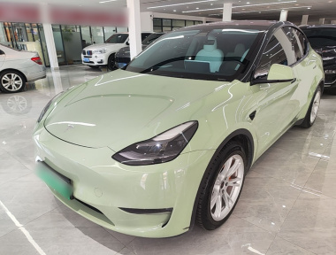 Tesla Model Y 2021 car image 