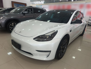 Tesla Model 3 2020 Tesla Model 3 2020 car image
