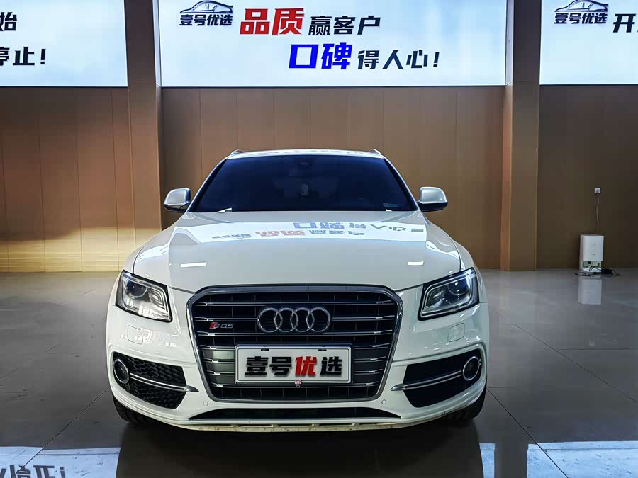 Audi SQ5 2013 imagen de coche #3